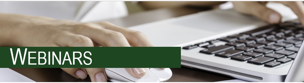 webinars - image of person typing on computer